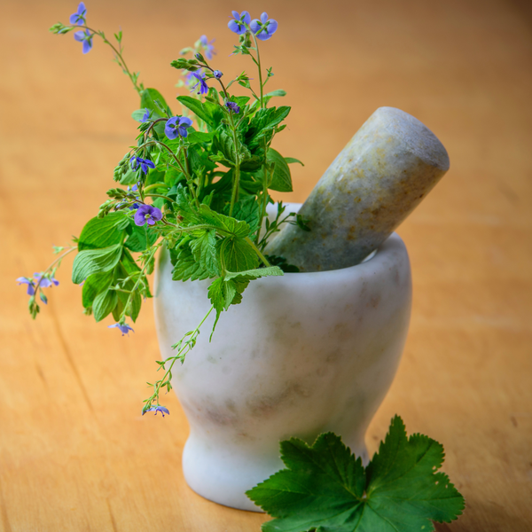 Descubre los beneficios de las plantas en la cocina, medicina y cosmética